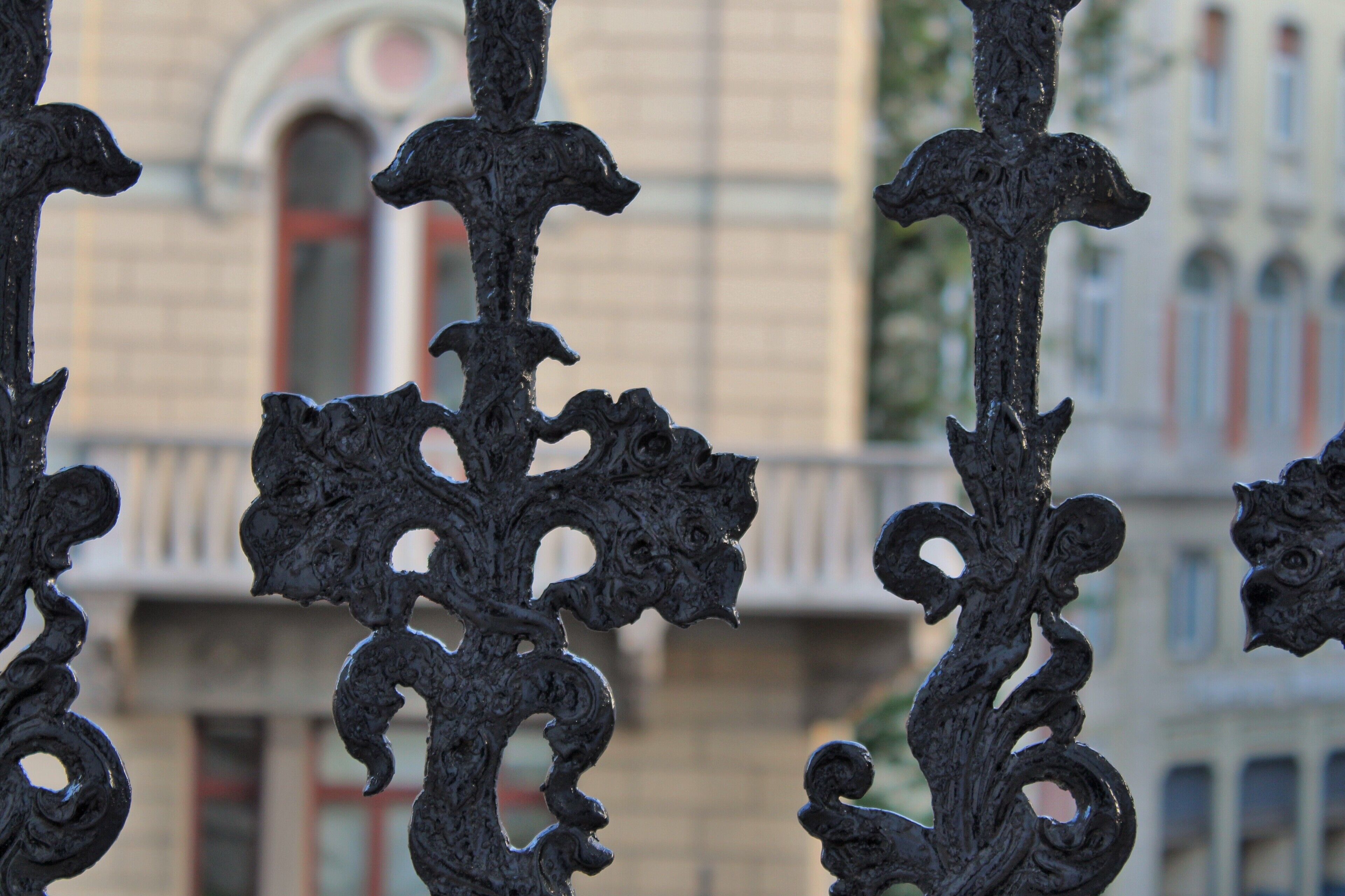 Foto - Trieste Center Rooms & Apartments - Fiori di Trieste