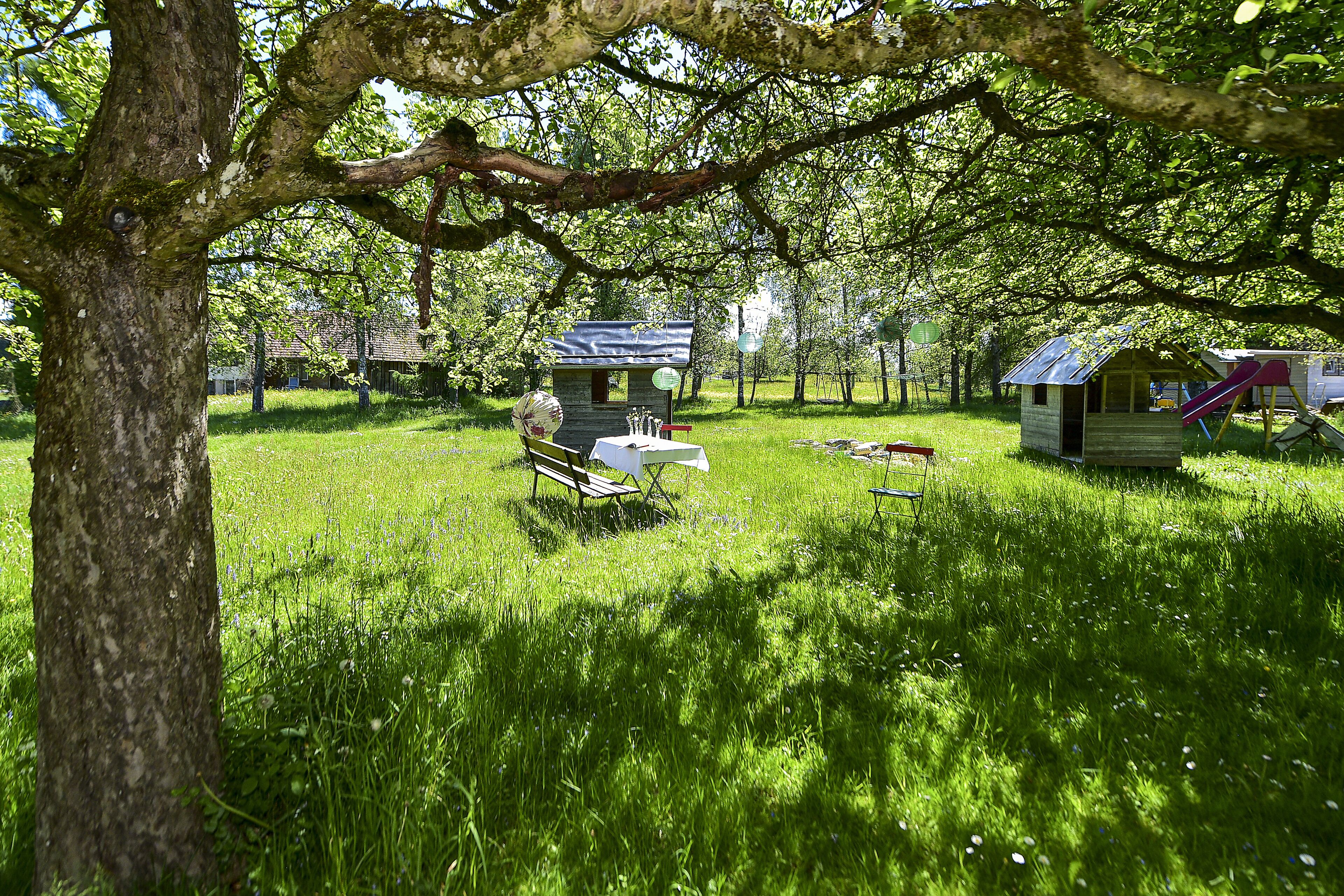 A grassy area with a small wooden structure, a bench, and a playground.