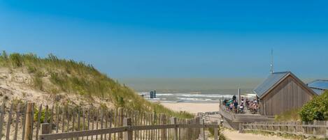 Playa
