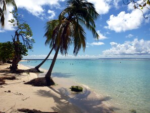 On the beach, sun-loungers