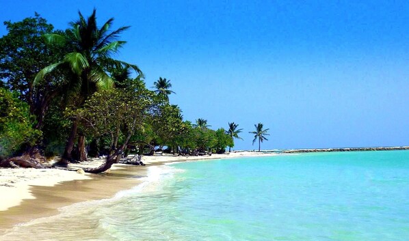 Une plage à l’eau turquoise et limpide, bordée de palmiers et d’un rivage sablonneux.