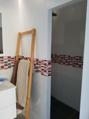 Regadera, secadora de cabello, toallas, jabón 
