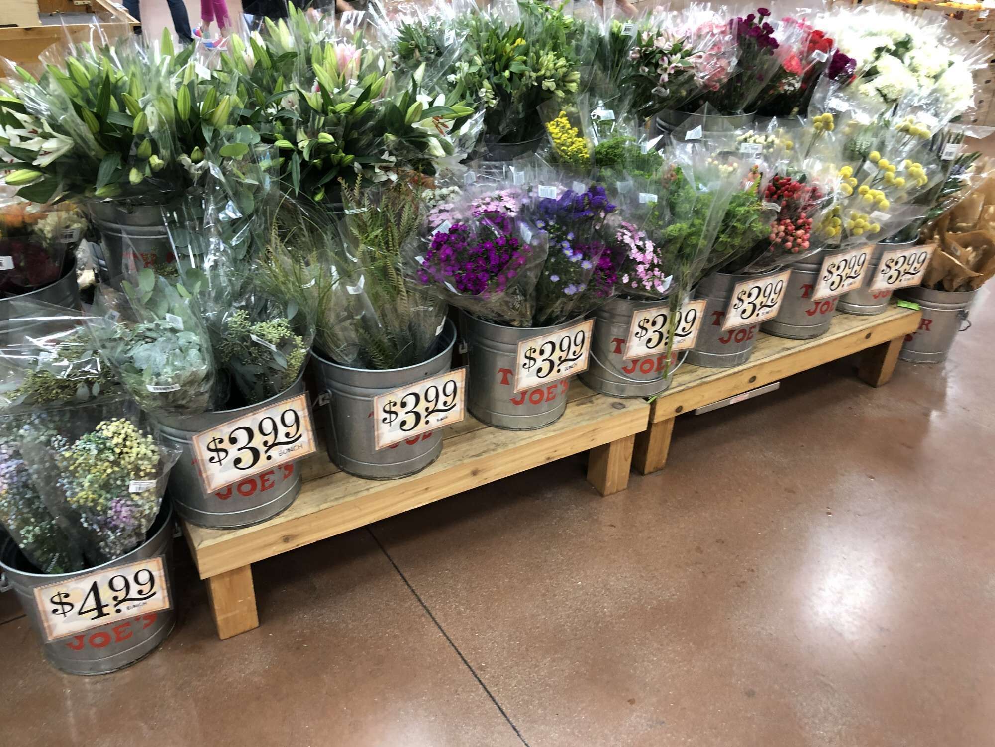 A variety of potted plants with price tags, arranged on wooden shelves in a store.