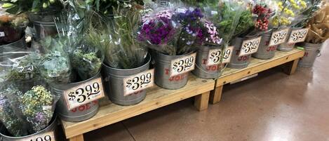 A variety of potted plants with price tags, arranged on wooden shelves in a store.