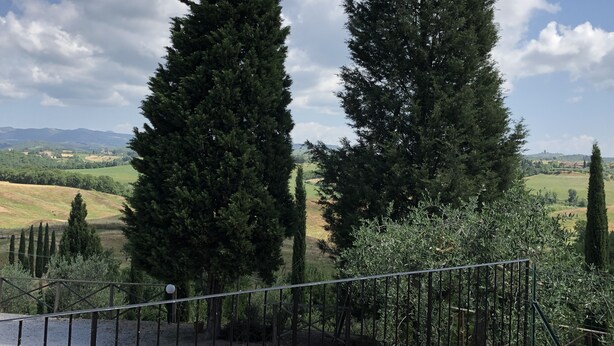 A view of two tall evergreen trees in a landscaped area with a metal railing in the foreground.