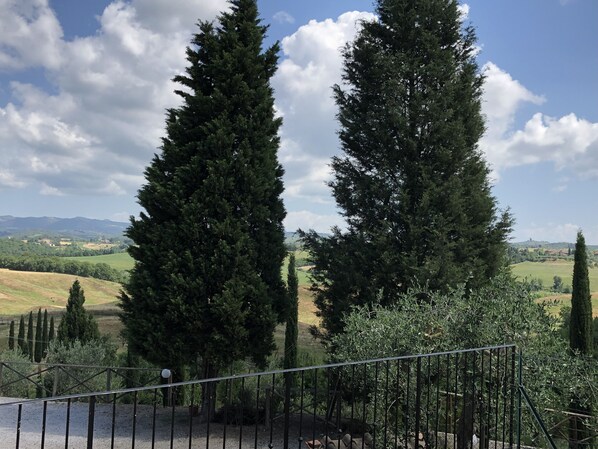 Immagine non classificata, 1 di 14, pulsante