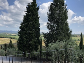 Immagine non classificata, 2 di 14, pulsante