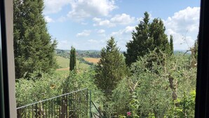 A view from a window overlooking a garden with a gravel path, a metal fence, and various trees.