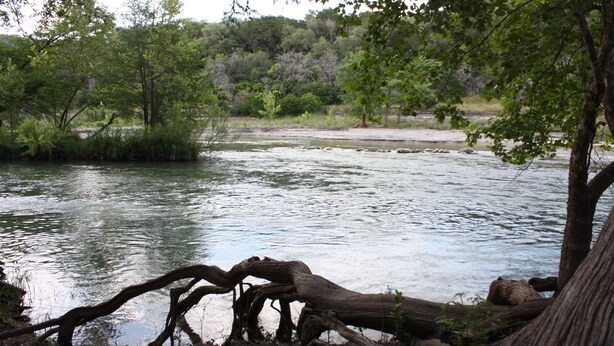 Ein Fluss mit einem gefallenen Baumstamm im Vordergrund.