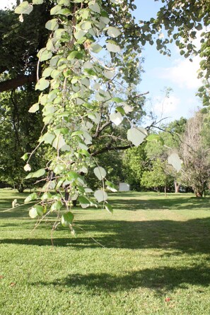 Parco della struttura