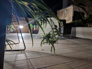 Terrassa o pati