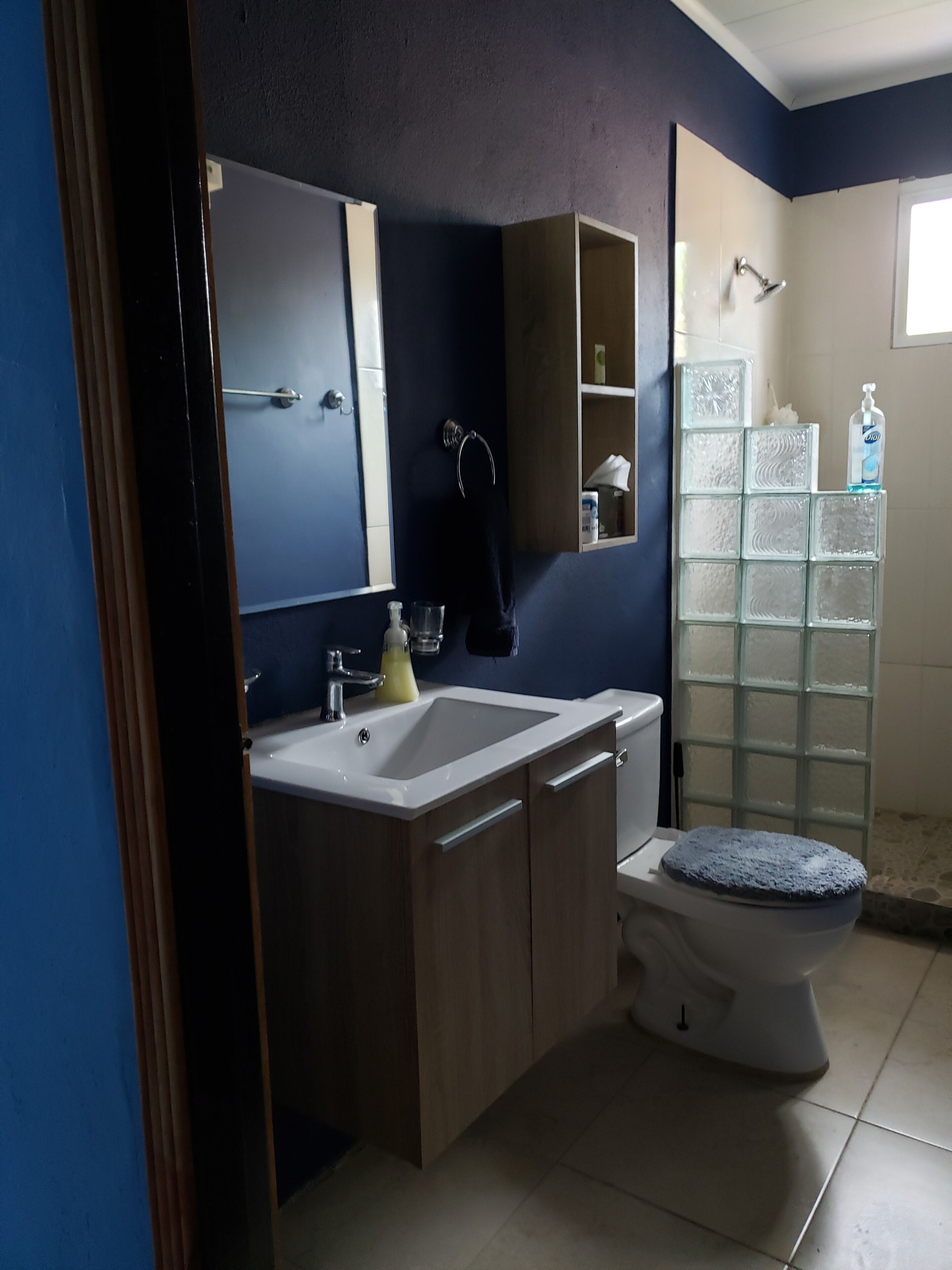 Une salle de bain avec un lavabo blanc, des meubles en bois, un miroir, une cabine de douche en verre et des toilettes avec un abattant bleu.