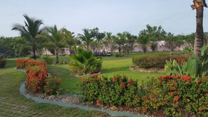 A well-maintained garden with various plants and a clear pathway. - Pink Palace Panama (Punta Chame)