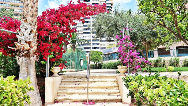 Una scala conduce a un edificio con balconi, immerso nel verde e fiorito.