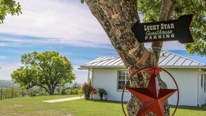 Ett träd med en skylt som visar var gästparkeringen för vandrarhemmet ”Lucky Star” finns.