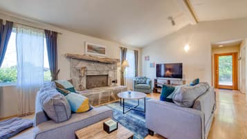 TV, fireplace, books