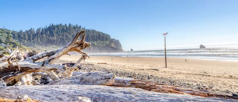 Una spiaggia nelle vicinanze