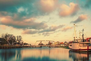 Immagine non classificata, 4 di 21, pulsante