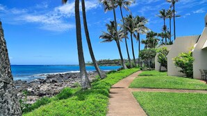 Un paseo marítimo bordeado de palmeras y vistas al océano.
