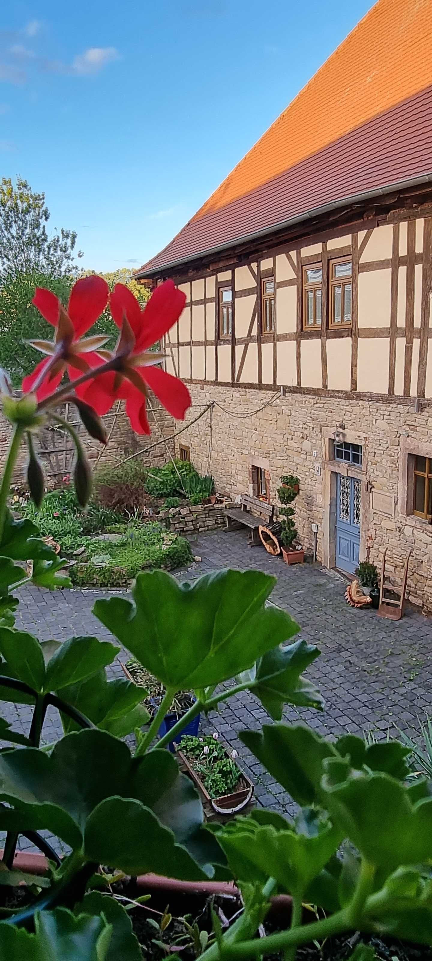 ein kleiner Blick in den Hof