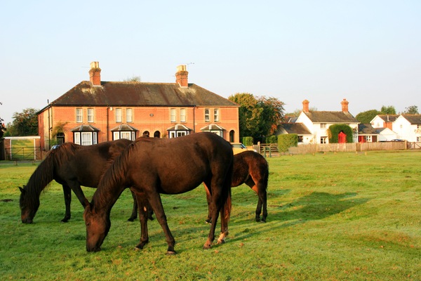 Waterley Brockenhurst. Second cottage from the right.