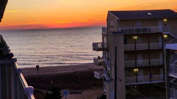 Property grounds - Gorgeous views of ocean and bay sunsets. Steps to beach. Free WiFi. washer/dryer (Ocean City)