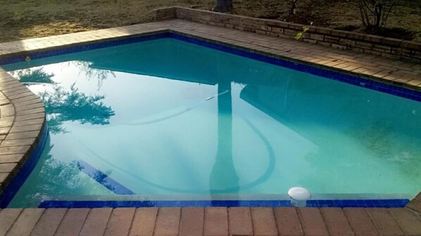 Outdoor pool, pool umbrellas, pool loungers