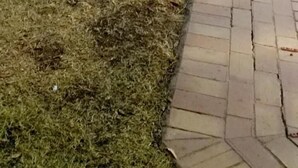 숙박 시설 구내