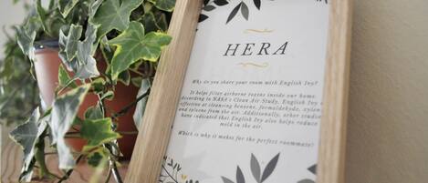A framed informational card titled "HERA" with text about the benefits of English Ivy, placed next to a potted plant.
