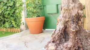 A tree stump, a potted plant, and a green door.
