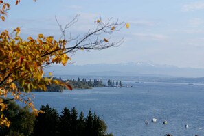 Unclassified image, 3 of 81, button