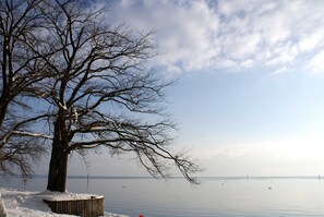 Unclassified image, 2 of 81, button