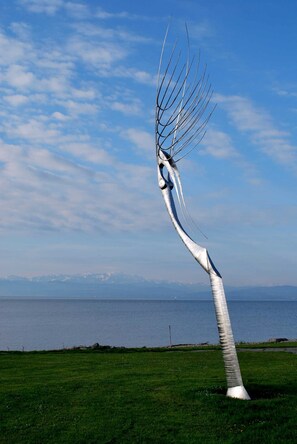 Unclassified image, 4 of 81, button