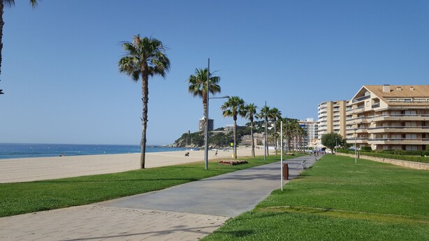 Une promenade en bord de mer bordée de palmiers, un ciel dégagé et un immeuble doté de balcons.