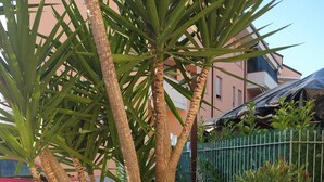 Ein angelegter Garten mit einer Palme, Topfpflanzen und einer gefliesten Terrasse.