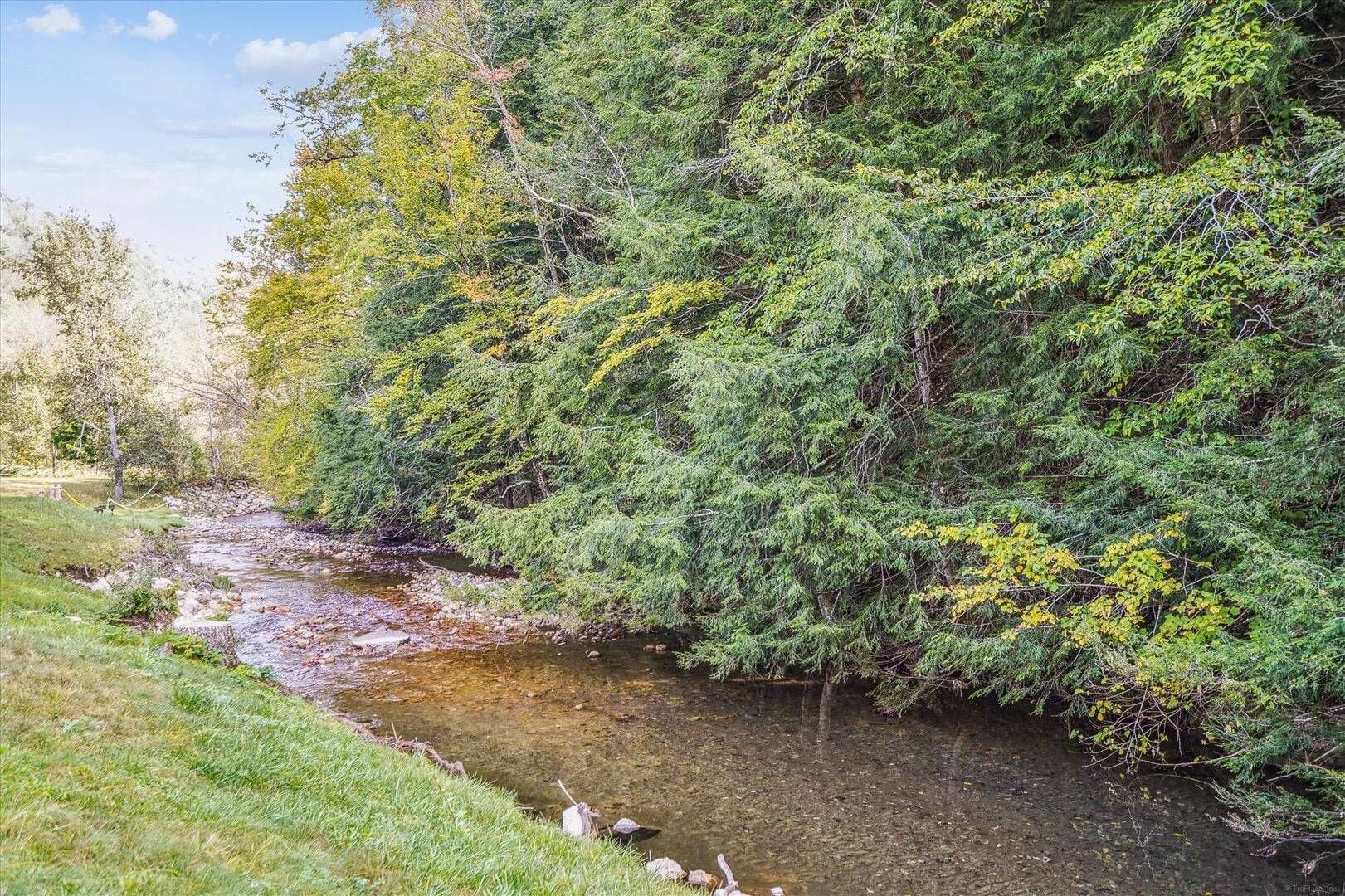 A natural landscape with a stream and dense greenery.