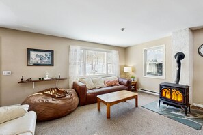 تلفزيون، مدفأة، كُتُب