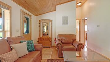 Televisión, chimenea y reproductor de DVD