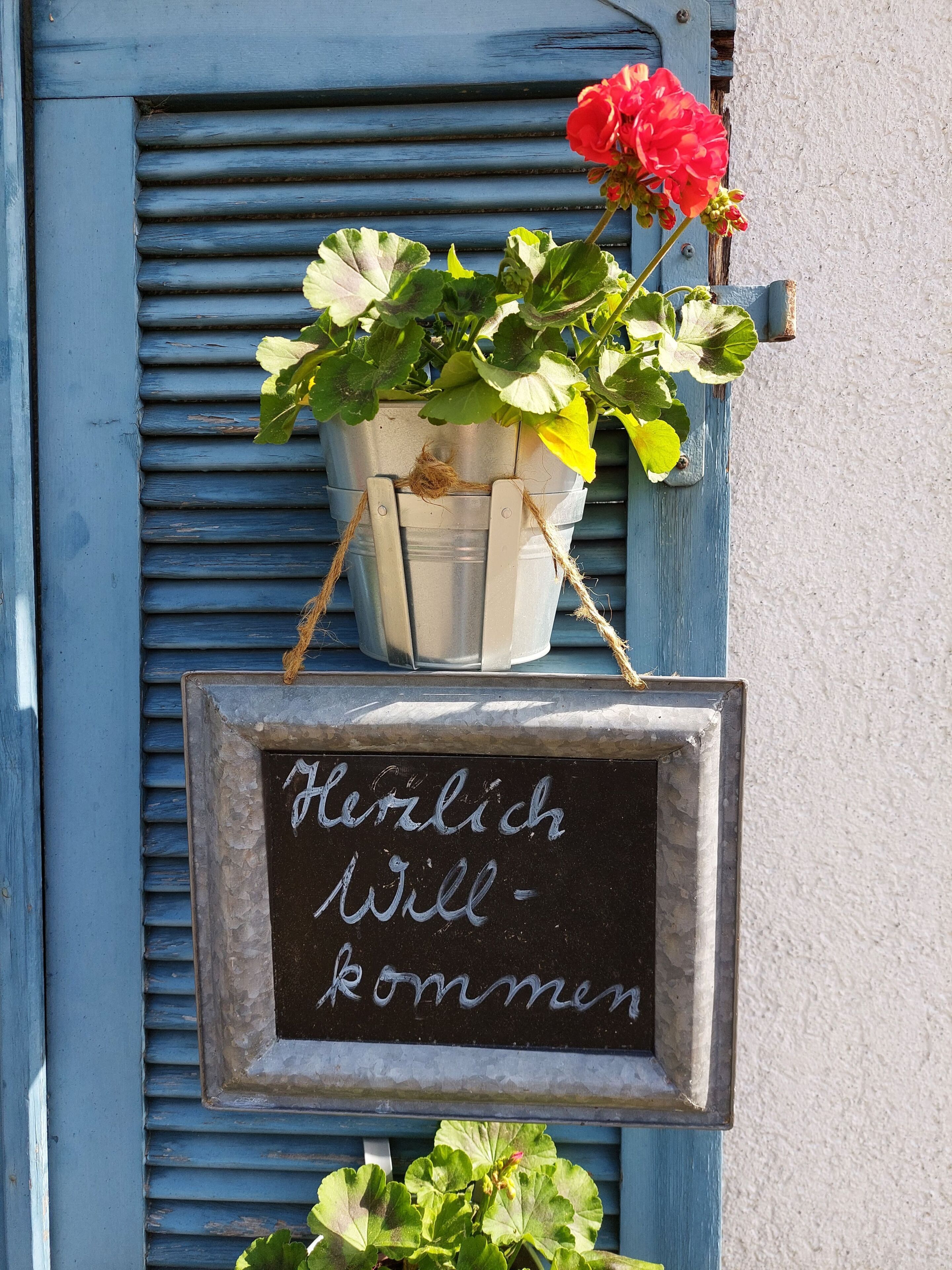 Een metalen plantenbak met een rode bloem en een schoolbord waarop tekst staat.