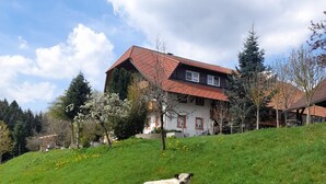Una casa con tetto spiovente e un cortile recintato dove tre pecore pascolano.