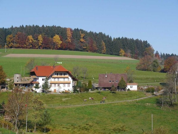 A rural setting with a large white building with a red roof, surrounded by green fields and a forested hill in the background. - Dischhof - vacation apartment 90sqm, 3 bedrooms, max. 7 pers., 1 - 7 persons (Biederbach)