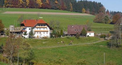 Dischhof - vacation apartment 90sqm, 3 bedrooms, max. 7 pers., 1 - 7 persons