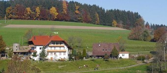 Lägenhet 90sqm, 3 sovrum, max. 8 pers. , 1 - 8 personer - Dischhof