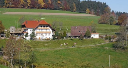 Dischhof - vacation apartment 90sqm, 3 bedrooms, max. 7 pers., 1 - 7 persons