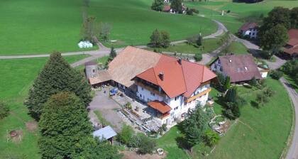 Dischhof - vacation apartment 90sqm, 3 bedrooms, max. 7 pers., 1 - 7 persons