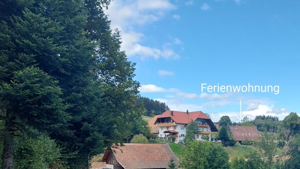 Un paysage rural avec une route menant à un groupe de maisons, dont l’une présente une structure en bois visible.