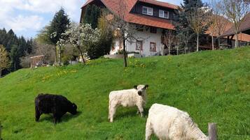 Enceinte de lâhĂ©bergement
