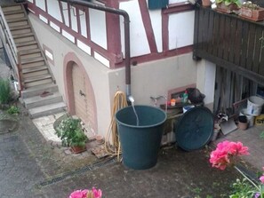 A building with a staircase, a large green bucket, and a flower pot.