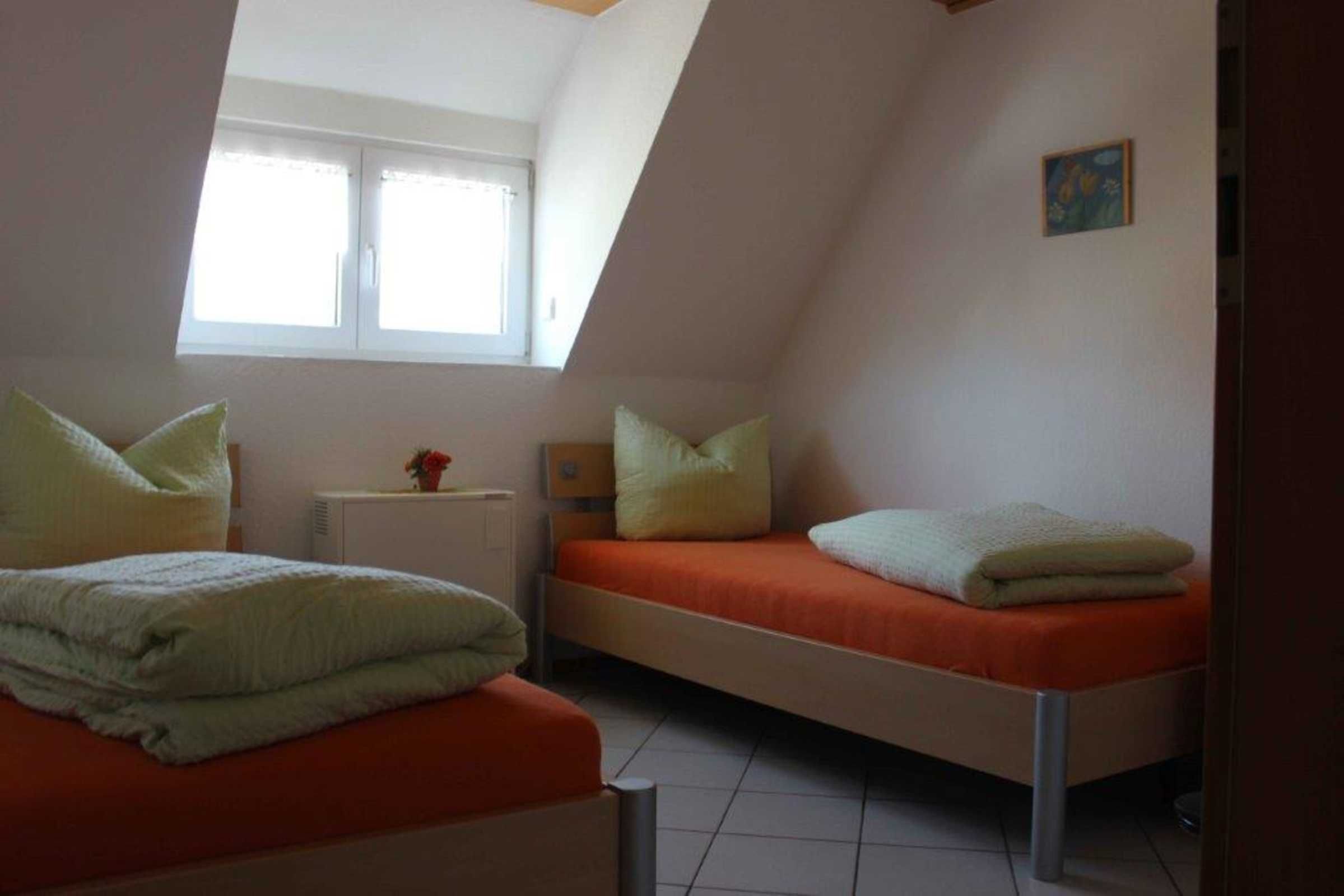 A small, single-room with two beds, a window, and a small table with a plant.