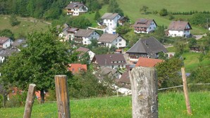 Ein ländliches Dorf mit Häusern, umgeben von grünen Feldern und Bäumen.